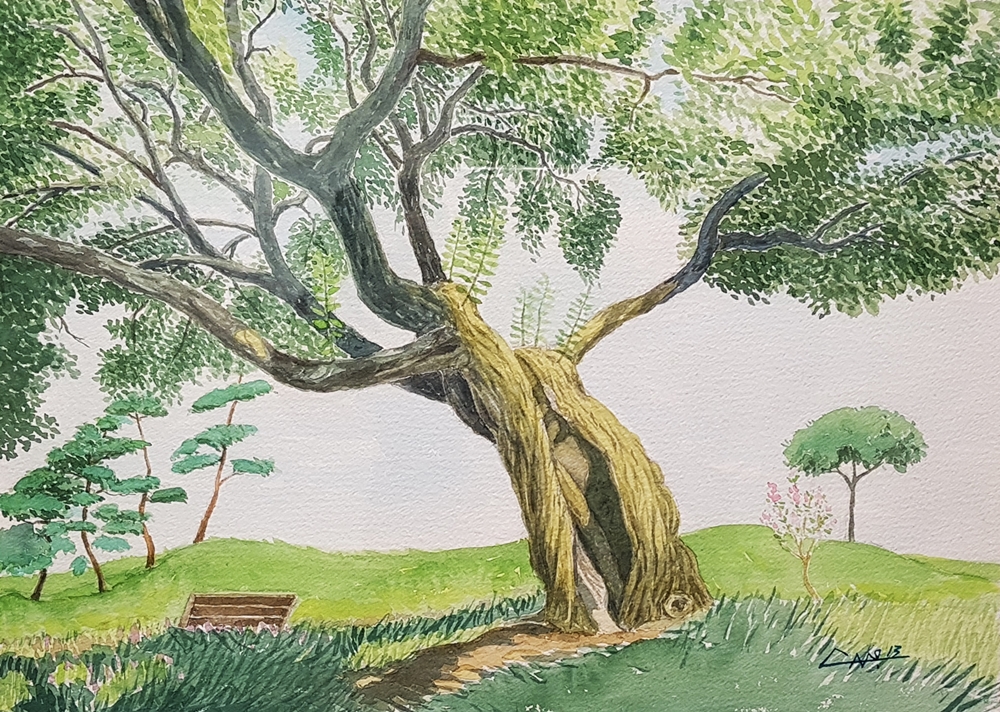 임대봉 한여름 평화의 나무, 수채, 25.5 x 35.5cm